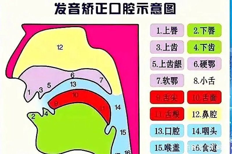 怎样应对口吃问题?